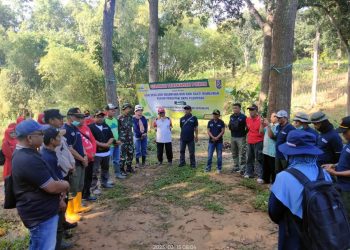 Cegah Erosi, BKPH Plumpang Tuban ,Tanam Pohon Dalam  Memperingati Desa Asri Dan Rimbawan