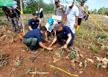 Dalam Rangka Hari Desa Asri Nusantara Dan Hari Bhakti Rimbawan, Perhutani KPH Tuban Giatkan Tanam Pohon
