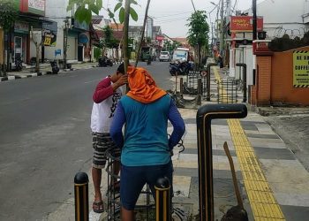 Gerak Cepat, Pemkab Bojonegoro Tangani Langsung Penggantian Pohon Mati