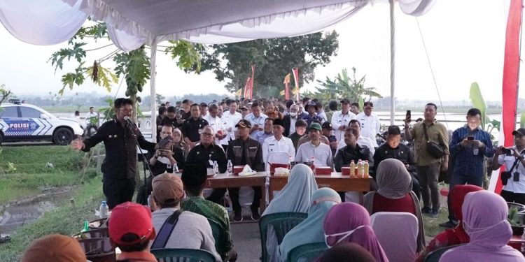 Sehari Jelang Kedatangan Presiden Jokowi, Mentan RI dan Mas Lindra Dialog Dengan Petani