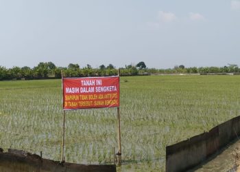 Munculnya Dua Penyewa Sewa Tanah Bengkok, Plt Kades Penidon Terkesan Cuek