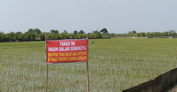 Munculnya Dua Penyewa Sewa Tanah Bengkok, Plt Kades Penidon Terkesan Cuek