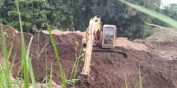 CV. Musika dan PT. Jisoelman Dilaporkan LKH Barracuda