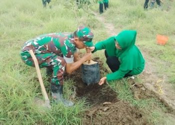 Peduli Lingkungan, Persit Koramil 0811/12 Bancar Tuban Lakukan Penghijauan Tanam Pohon Produktif ﻿