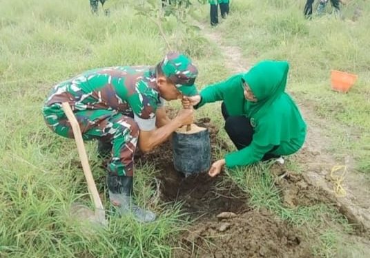 Peduli Lingkungan, Persit Koramil 0811/12 Bancar Tuban Lakukan Penghijauan Tanam Pohon Produktif 