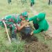 Peduli Lingkungan, Persit Koramil 0811/12 Bancar Tuban Lakukan Penghijauan Tanam Pohon Produktif 