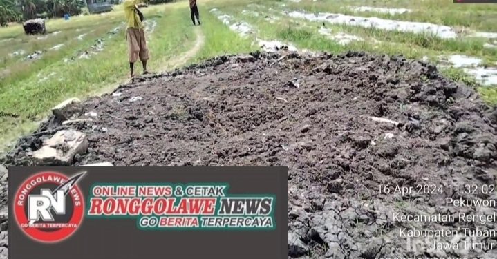 Geger. Bau Menyengat Dari Ribuan Bangkai Ayam Petelur