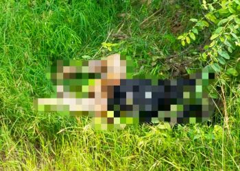 Jasad Mantan Kades Ditemukan Mengenaskan di Bekas Tambang