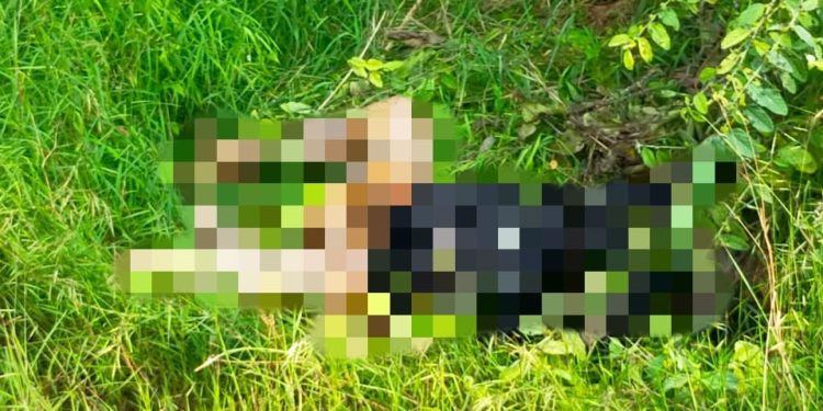 Jasad Mantan Kades Ditemukan Mengenaskan di Bekas Tambang