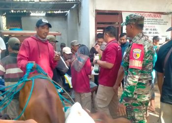 Babinsa Koramil 0811/09 Jatirogo Turut Sukseskan Program Manajemen Kesehatan Ternak Di Wilayah