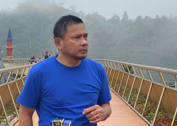 Ketua PWI Dilindungi, Presiden Diobok-obok