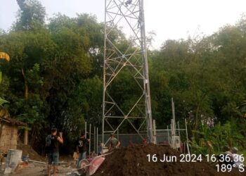 Pemkab Tuban Kehilangan Taringnya Berhadapan Dengan Pengusaha Tower BTS