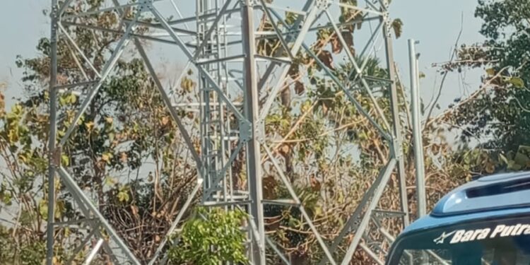 Pendirian Tower Di Tegalbang Palang Yang Sempat Viral Ditanggapi Positif Oleh PT. Dayamitra Telekomunikasi Tbk