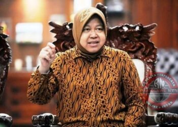 Inilah Biografi Calon Gubernur Jawa Timur, Tri Rismaharini, Perjalanan Karir Hingga Menteri Sosial Republik Indonesia
