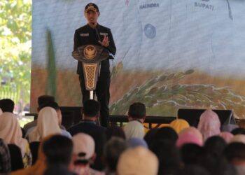 Tanam Padi di Kecamatan Singgahan, Mas Lindra Dorong Petani Gunakan Pupuk Organik