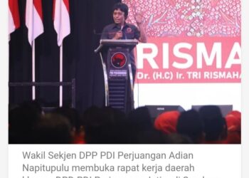 Karakter Risma Dalam Pandangan Adian Napitupulu