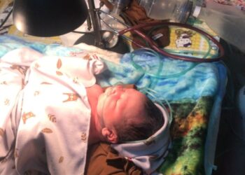 Lahirnya Sang Jabang Bayi Tidak Luput Bersamaan Dengan “Sedulur Papat Limo Pancer”