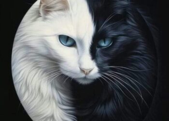 Weton Sabtu Legi Mendominasi Kalender Weton November 2024