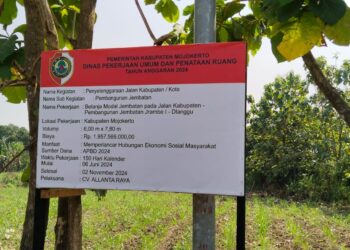 Akses Jembatan Jrambe Mojokerto Siap Dimanfaatkan Masyarakat