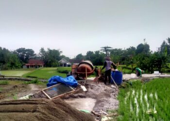 Pengerjaan Proyek P3TGAI Diduga Tak Sesuai Permen PUPR No 4 Tahun 2021, Ketua Hippa Desa Pupus Bakal Dilaporkan