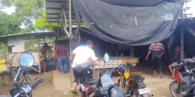 Polsek Brondong Grebek Judi Sabung Ayam Di Lahan Perhutani