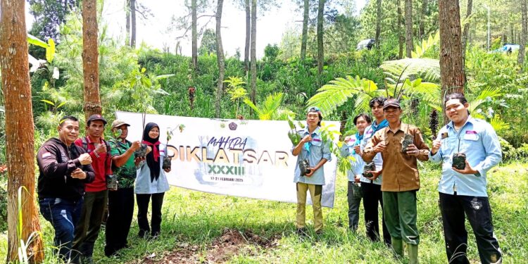 Tanam Bibit Pohon – Buah KPH Lawu Ds Berkolaborasi Dengan Mahipa Unmuh Ponorogo