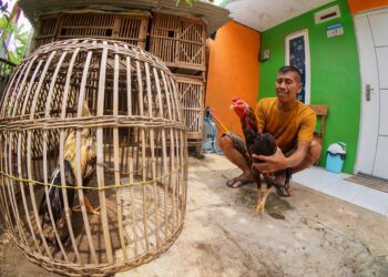 Peran BTN Dalam Program 3 Juta Rumah Bagi Penciptaan Lapangan Kerja