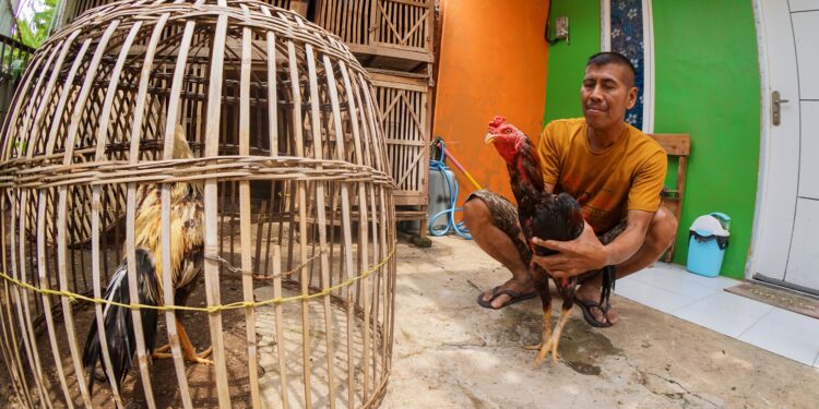 Peran BTN Dalam Program 3 Juta Rumah Bagi Penciptaan Lapangan Kerja