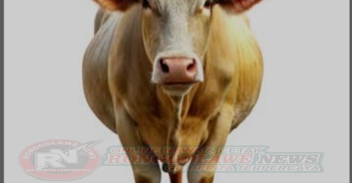 Dugaan Penggelapan Sapi Bantuan Pemprov Jatim Mencuat di Jatirejo Nganjuk