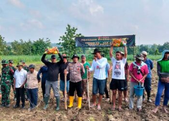 Sukseskan Program Unggulan KASAD, TMMD Ke-123 Tanam Jagung Hibrida Di Desa Bader
