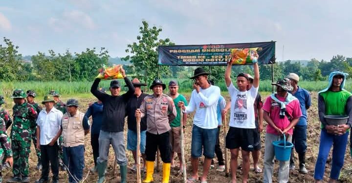 Sukseskan Program Unggulan KASAD, TMMD Ke-123 Tanam Jagung Hibrida Di Desa Bader