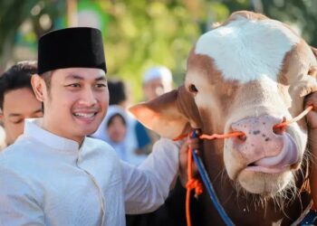 Si Arjuna Doser, Sapi dari Presiden Prabowo Untuk Warga Tuban