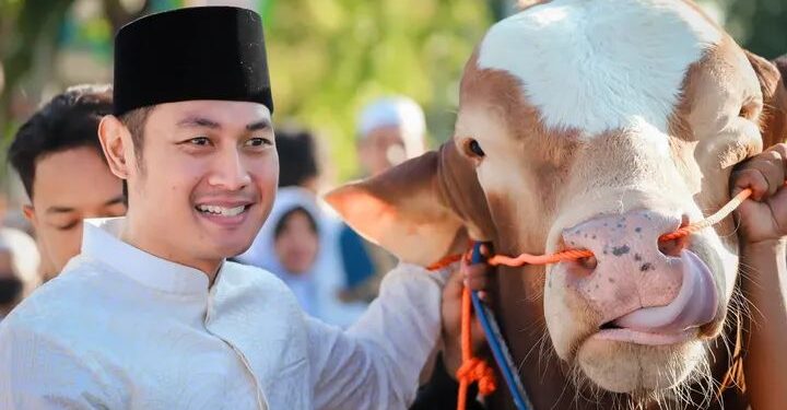 Si Arjuna Doser, Sapi dari Presiden Prabowo Untuk Warga Tuban