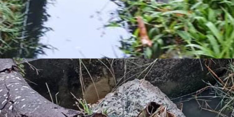 Warga Rahayu, Soko, Tuban Keluhkan Kebocoran Limbah PT. PHE ke Persawahan