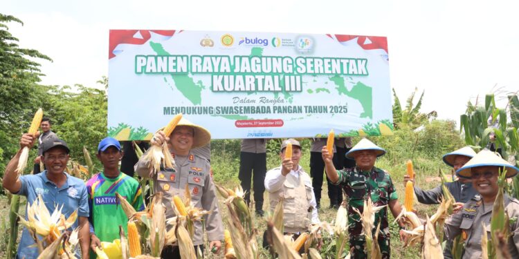 Kapolres Mojokerto kota menggandeng Poktan adakan Panen Jagung Kuartal III