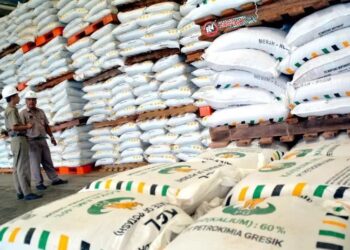 HET Pupuk Subsidi Turun 20 Persen di Jatim: Kebijakan Populis atau Solusi Nyata untuk Petani?