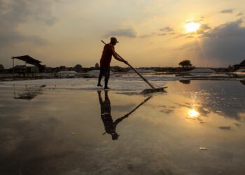 Kemilau Harapan  Menuju Swasembada Garam