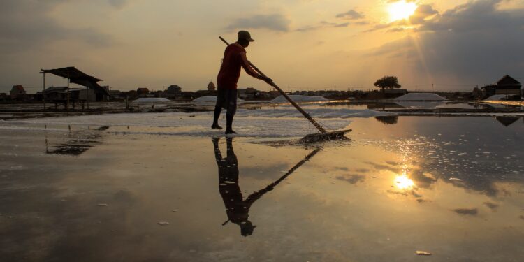 Kemilau Harapan  Menuju Swasembada Garam