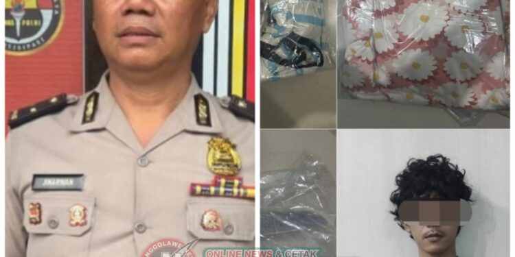 Dijanjikan Nikah Berujung Pencabulan