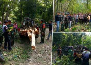 Patroli Gabungan TNI-Perhutani Gagalkan Dugaan Pembalakan Liar