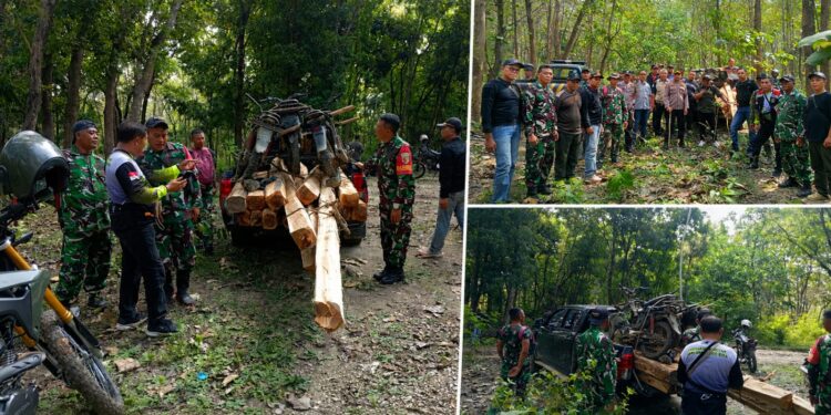 Patroli Gabungan TNI-Perhutani Gagalkan Dugaan Pembalakan Liar