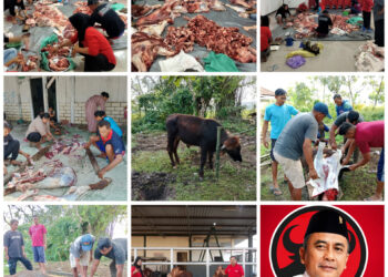 PDIP Tuban Potong Lima Hewan Qurban